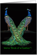 Happy National Siblings Day Two Peacocks Customizeable card