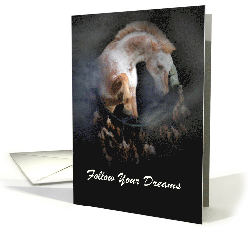 Follow Your Dreams Native American Dream Catcher and... (1430236)