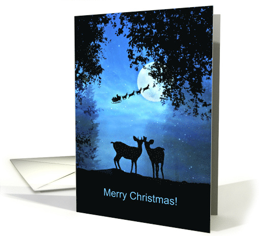 Cute Deer Merry Chirstmas card (1436800)