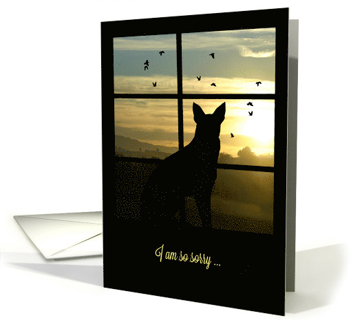 Sympathy Dog in Window at Sunset card (1439000)