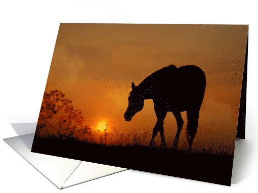 Horse and Sunrise Happy Birthday Beautiful Day card (1450582)