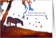 Equine, Horse Sympathy for Loss of Horse Spiritual card