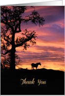 Thank You For the Sympathy, Thoughts and Prayers Horse and Sunset, card