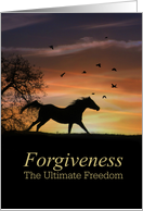 Forgiveness, I am...