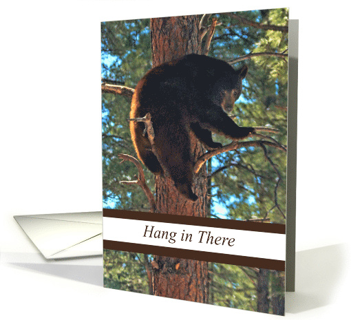 Hang In There Bear In Tree Encouragement card (1469762)