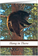 Hang In There Bear In Tree Encouragement card