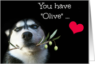 Cute Husky Love Romance Olive Branch card