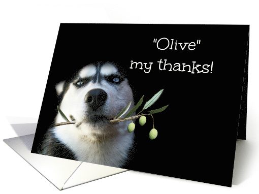 Cute and Fun Husky with Olives Thank You card (1472078)