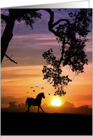 Pretty Thinking of You Horse Sunset and Oak Tree with Birds card