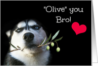 Happy Birthday Bro, Cute and Funny with Dog and Olive Branch card