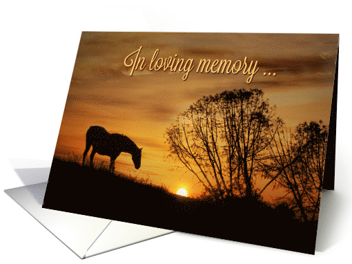 In Loving Memory and Deepest Sympathy for the Loss of Your Horse card
