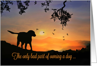 Dog in the Sunrise Dog Sympathy, Saying Goodbye card