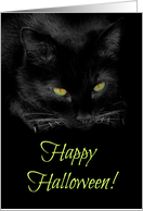 Happy Halloween Cool Black Cat Card