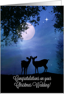 Romantic Deer in the Moonlight Christmas Day Wedding Congratulations card