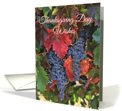 Wine Vineyard Grapes Autumn Colors Thanksgiving Day card (1499390)