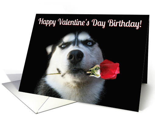 Super Cute Birthday on Valentine's Day Dog and Rose card (1509948)