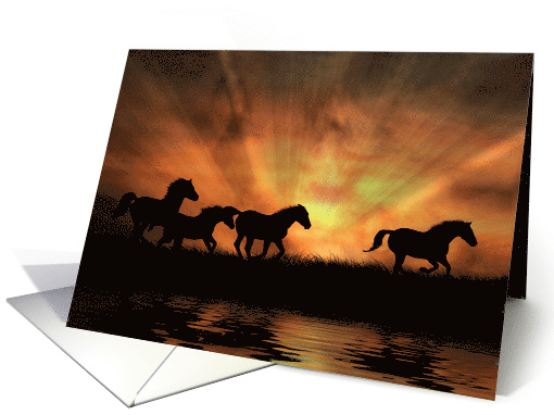 Beautiful Horses Blank Inside Herd of Wild Horses at... (1529098)