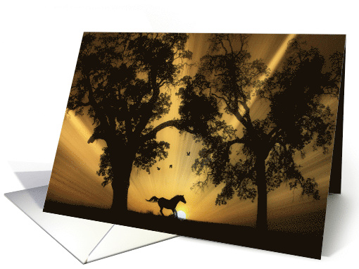 Blank Beautiful Horse Running in Sunrise with Oak Trees card (1537238)