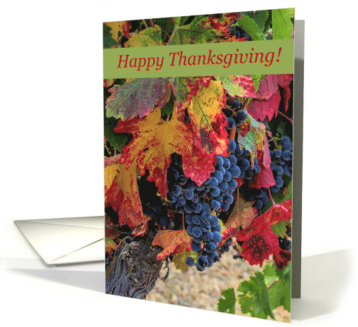 Autumn Wine Vineyard Happy Thanksgiving with Fall Foliage card