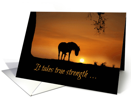 Loss of Horse, Horse Sympathy Having to Put Your Horse Down card