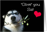 Cute Husky & Olive Branch For Sister, I Love You Sis Valentine’s Day card