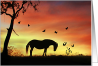 Horse and Butterflies, Thinking of You, Pretty Thinking of You Card