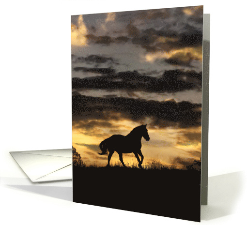 Beautiful Horse in Storm Fine Art, Blank Note card (1558828)
