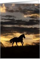 Beautiful Horse in Storm Fine Art, Blank Note card