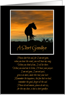 Spiritual Horse Memorial Sympathy card