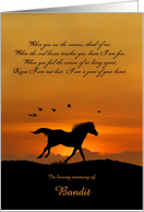 Horse Sympathy Custom Name Cover Spiritual Equine Condolences card