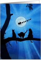 Cat Christmas with Santa Reindeer and Sleigh card