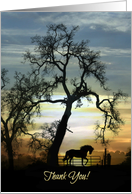 Horse Thank You with Oak Tree and Sunrise card