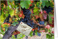 Wine Grapes Thank You card