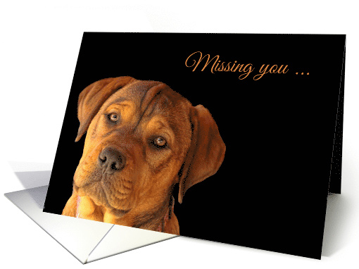 Missing You Sad Cute Puppy card (1581042)