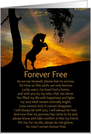 Horse Sympathy with Spiritual Poem card