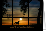 Cancer Support Get Well Encouragement Horse in the Sunset card