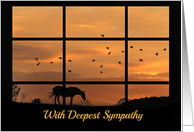 Horse in Sunset with Birds Through a Window Sympathy card
