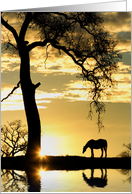 Horse and Oak Tree Sunrise with Water Blank card