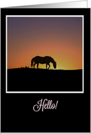 Horse Hello You are in my Thoughts card
