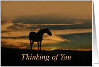 Horse Sunrise Thinking of You card