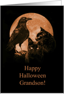 Happy Halloween Grandson Gothic Black Cats and Raven card