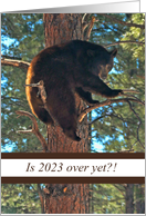 Funny Bear in Tree Is 2023 Over Yet Happy New Year 2024 card