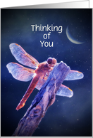 Thinking of You Dragonfly and Moon Customizable card