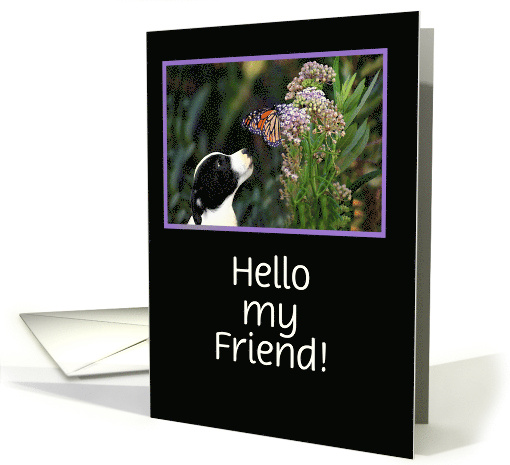Hello Friend Cute Dog and Monarch Butterfly Custom Cover card