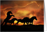Wild Horses Fine Art with Spirit Horse Blank card