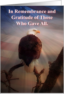 Memorial Day Remembrance and Gratitude Bald Eagle and American Flag card