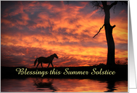 Summer Solstice Horse and Sunset Custom Cover card