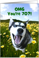 70th Birthday Custom Cover with Cute Husky Dog Funny and Fun card
