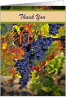 Thank You Custom Cover with Harvest Wine Grapes and Fall Vineyard card
