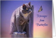 Spiritual Butterfly and Cat Sympathy Mystical From Heaven card